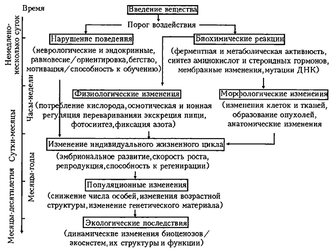 Особое изменение. Виды воздействия человека на биосистемы. Виды воздействия человека на биологические системы. Спондилогеннное влияние на па. Этапы водного порога веществ.