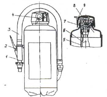 Общий вид ручного порошкового огнетушителя ОП-5