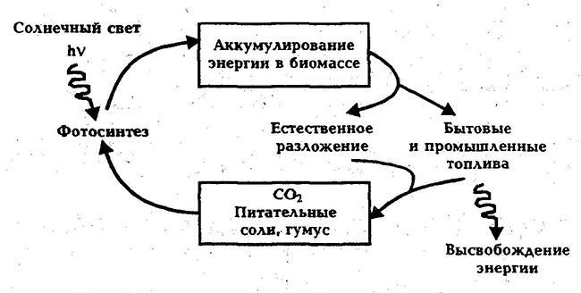 Система планетарного круговорота биомассы