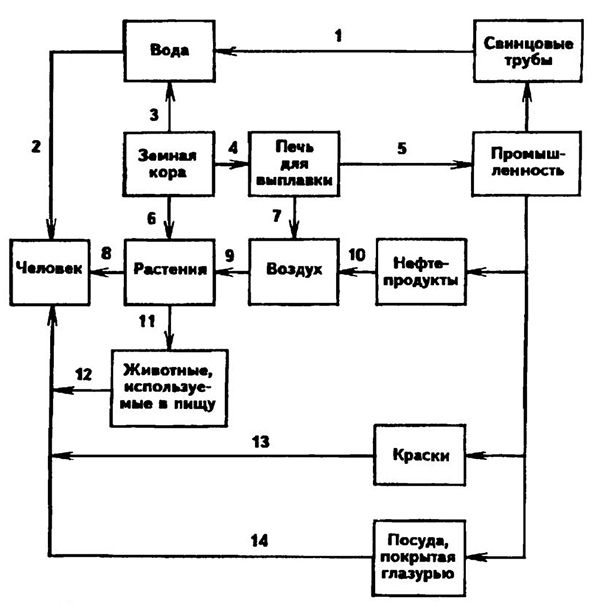Технобиогеохимический цикл свинца в окружающей среде
