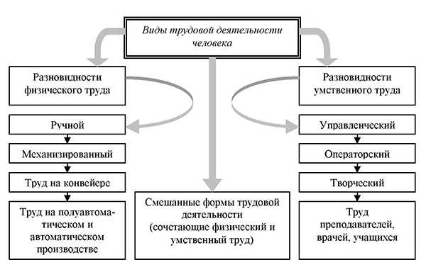 Виды трудовых процессов