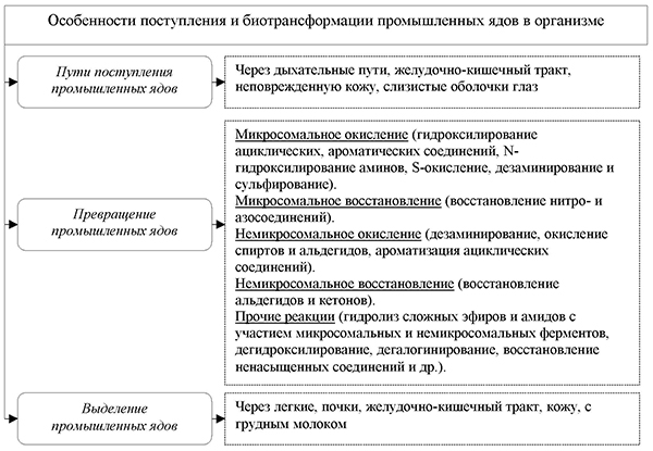 Особенности поступления