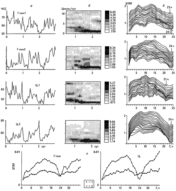 Временные ряды (а), СВАН-диаграммы (б) и графики структурной функции (в, г) ЧСС у двух испытуемых мужчин в условиях ограничения социальных контактов при обычном режиме труда и отдыха, частота опроса 1 ч