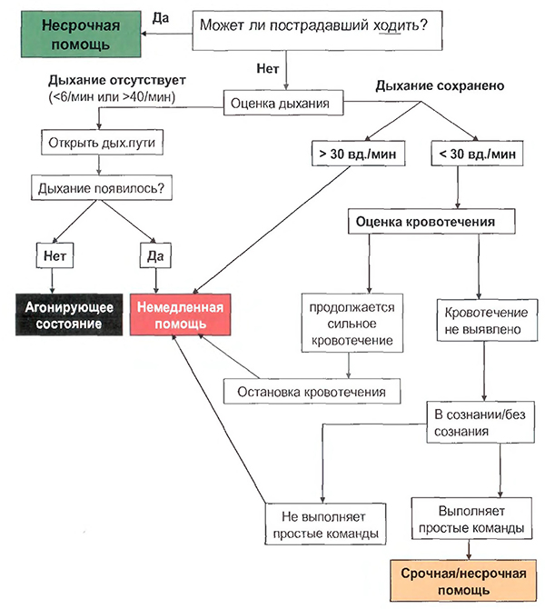 Презентация мед сортировка